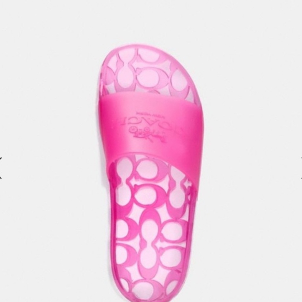 NEW COACH Ombre Slides 7